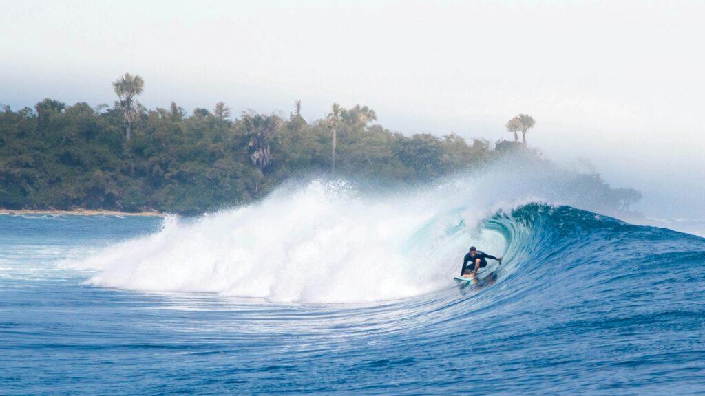 SurWell surfing lessons and trips